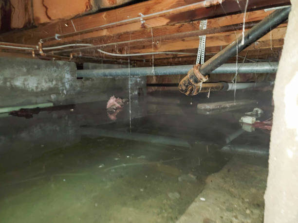 Professional Water damage restoration in Wyndmoor, PA